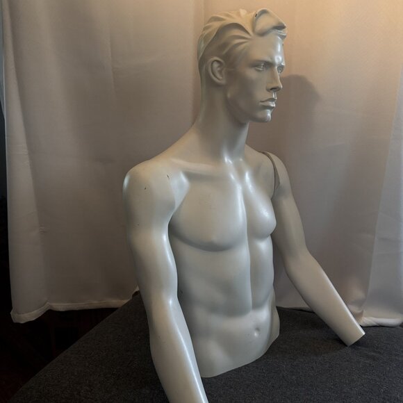 Male Mannequin Male Torso w Removable Arms Commercial Grade - Picture 2 of 8